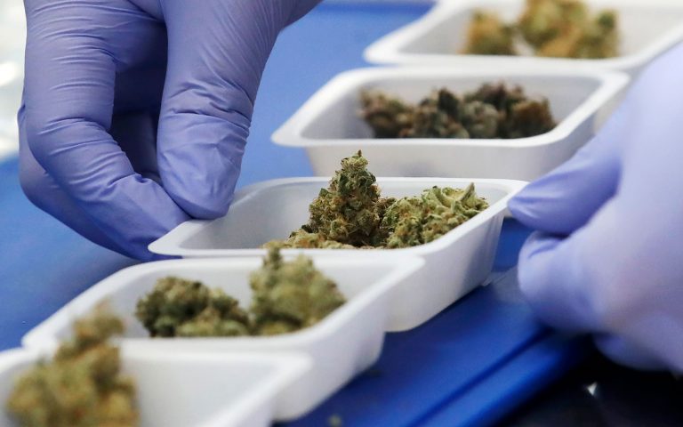 Cannabis-Compliance-Testing Cannabis Compliance Testing blog banner image NACPT